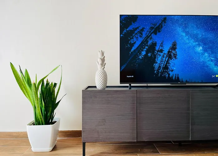 Adora Center Divjake